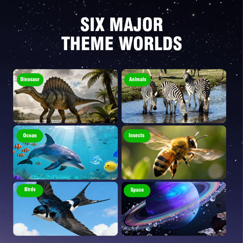 3D Stereoskopik Film Görüntüle - Kids Education Reels incelemesi ve fiyatı